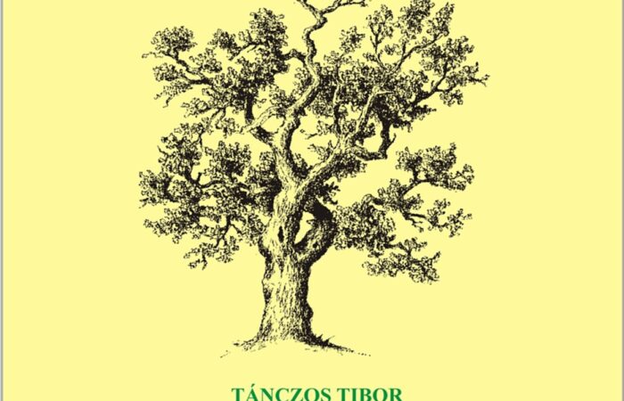 Tanczos_Henkey_cimlap