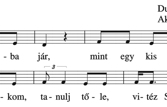 ag-tibor-aranykert-032-b
