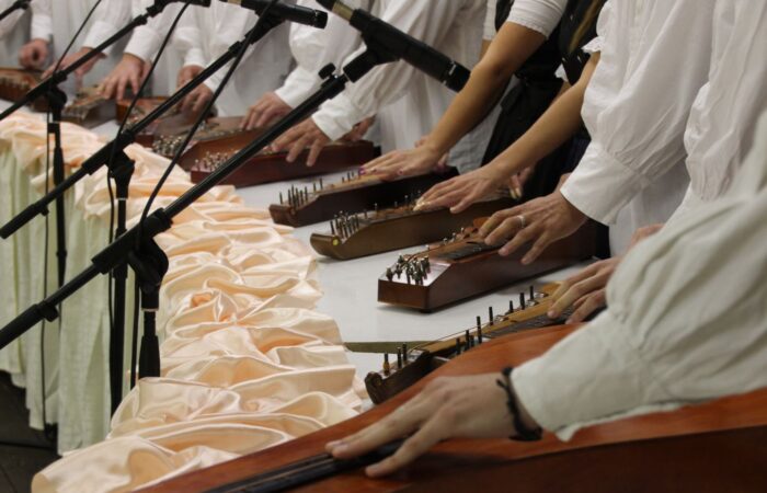 szazdi-citerazenekat-2014 (11)