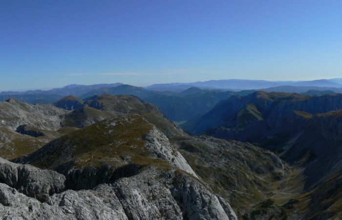 somorja-mozi-kovacs-tamas-eloadas-2015