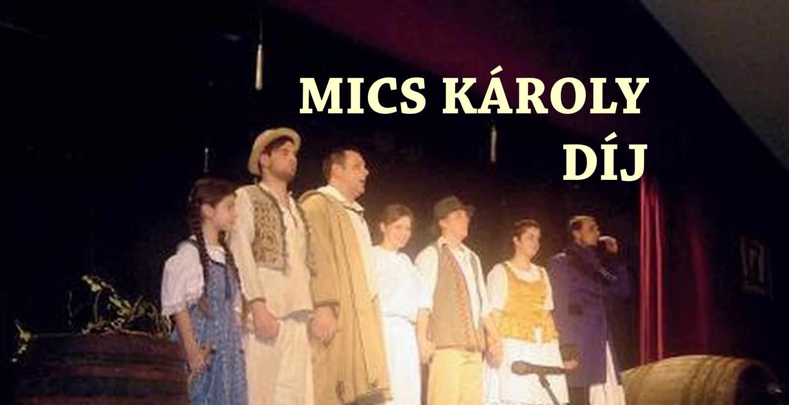 mics-karoly-dij-logo-2020