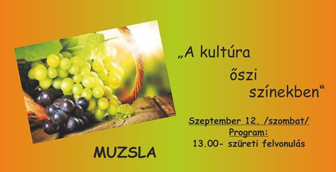 muzsla-szureti-fesztival-1-2015