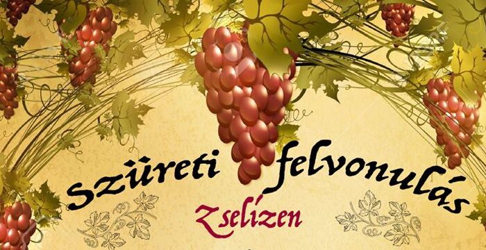 zseliz-szuret-1-2015