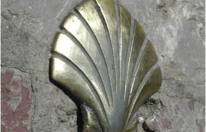 somorja-mozi-indulj-el-2016