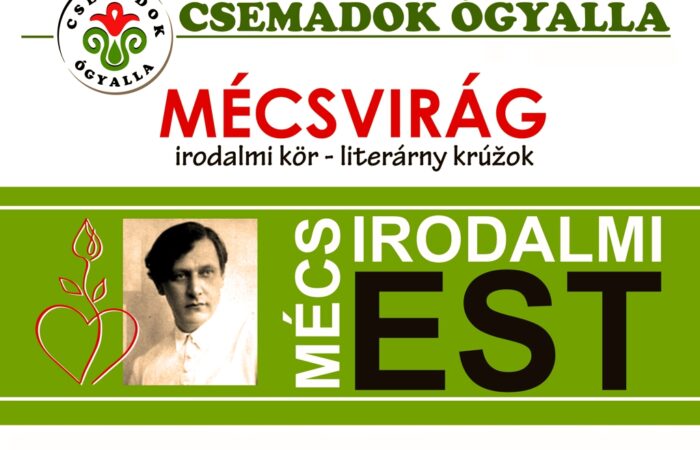 ogyalla-plakat-mecs-2016