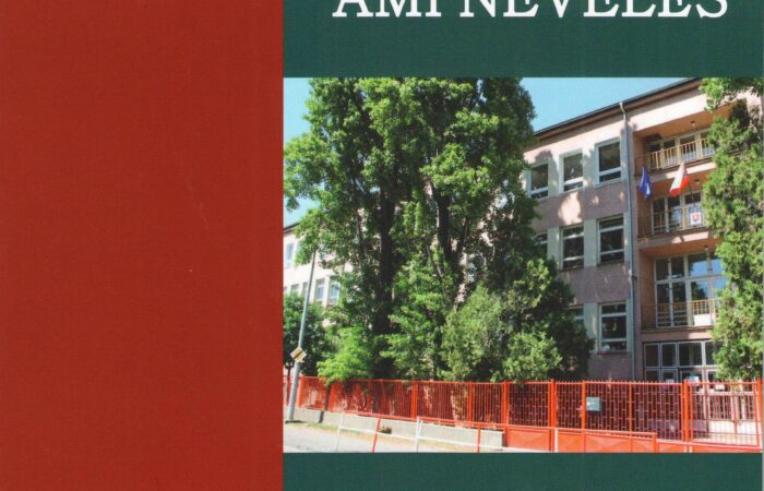 minden-ami-neveles-stirber