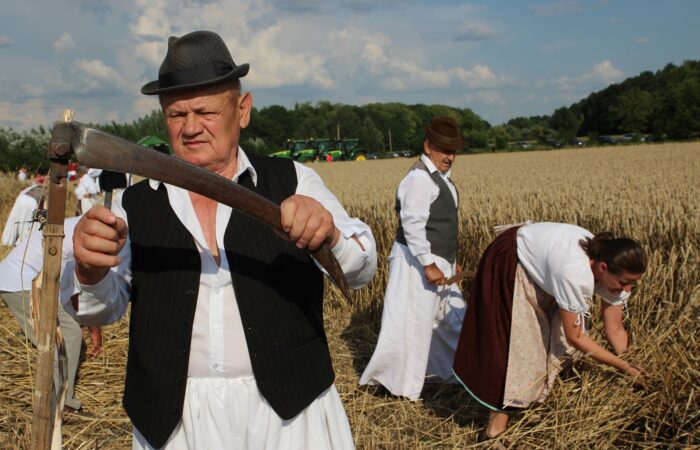 nyekvarkony-arato-unnepely-2016