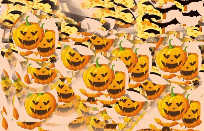 oros-tokfarago-verseny-2016-1