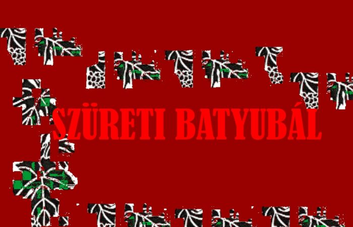 besenyo-szureti-batyubal-2016-1