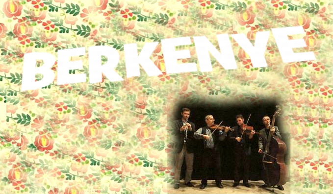 kossuth-berkenye-2016-1