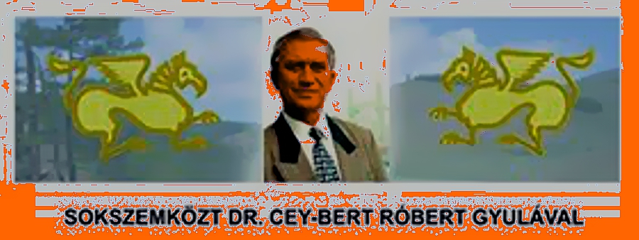 cey-bert-eloadas-komarom-2016-1