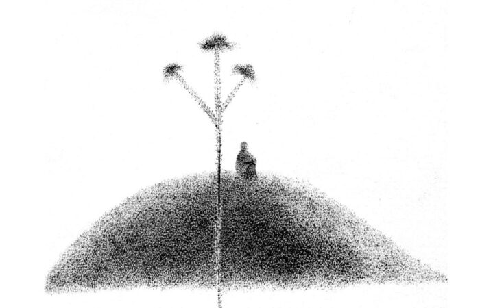 zenta-magyar-kultura-napja-2017