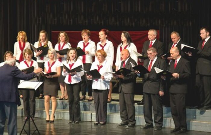 komarom-vox-humana-1-2017