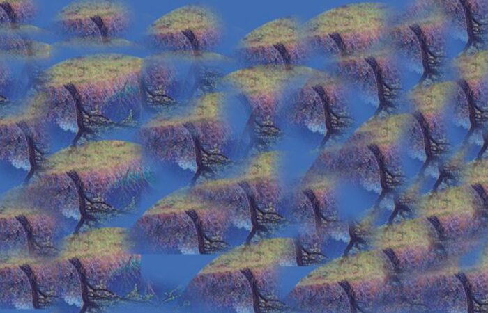 ajnacsko-kiallitas-cseres-1