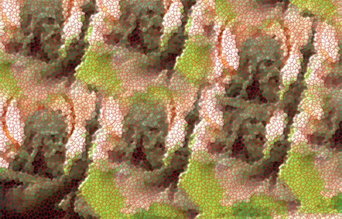 ogyalla-szent-istvan-3