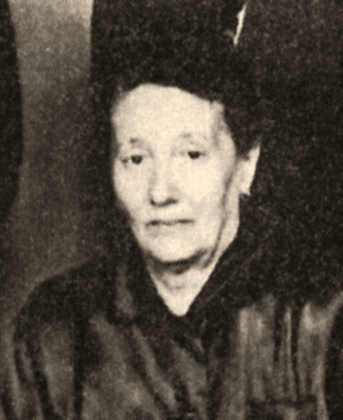 hevessy-sari-pograny