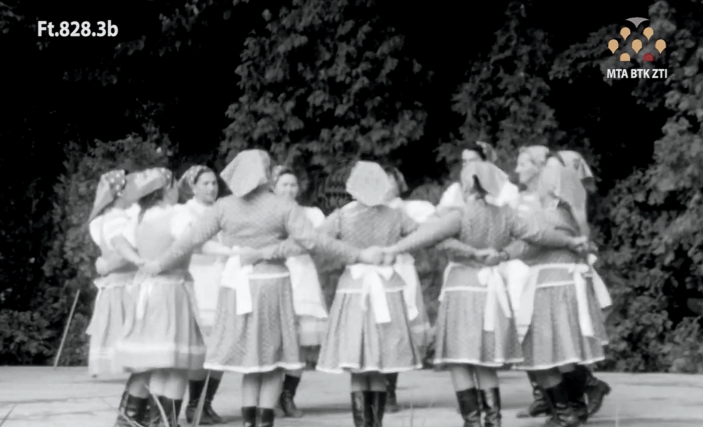 szilice-karikazo-ft-828.3b