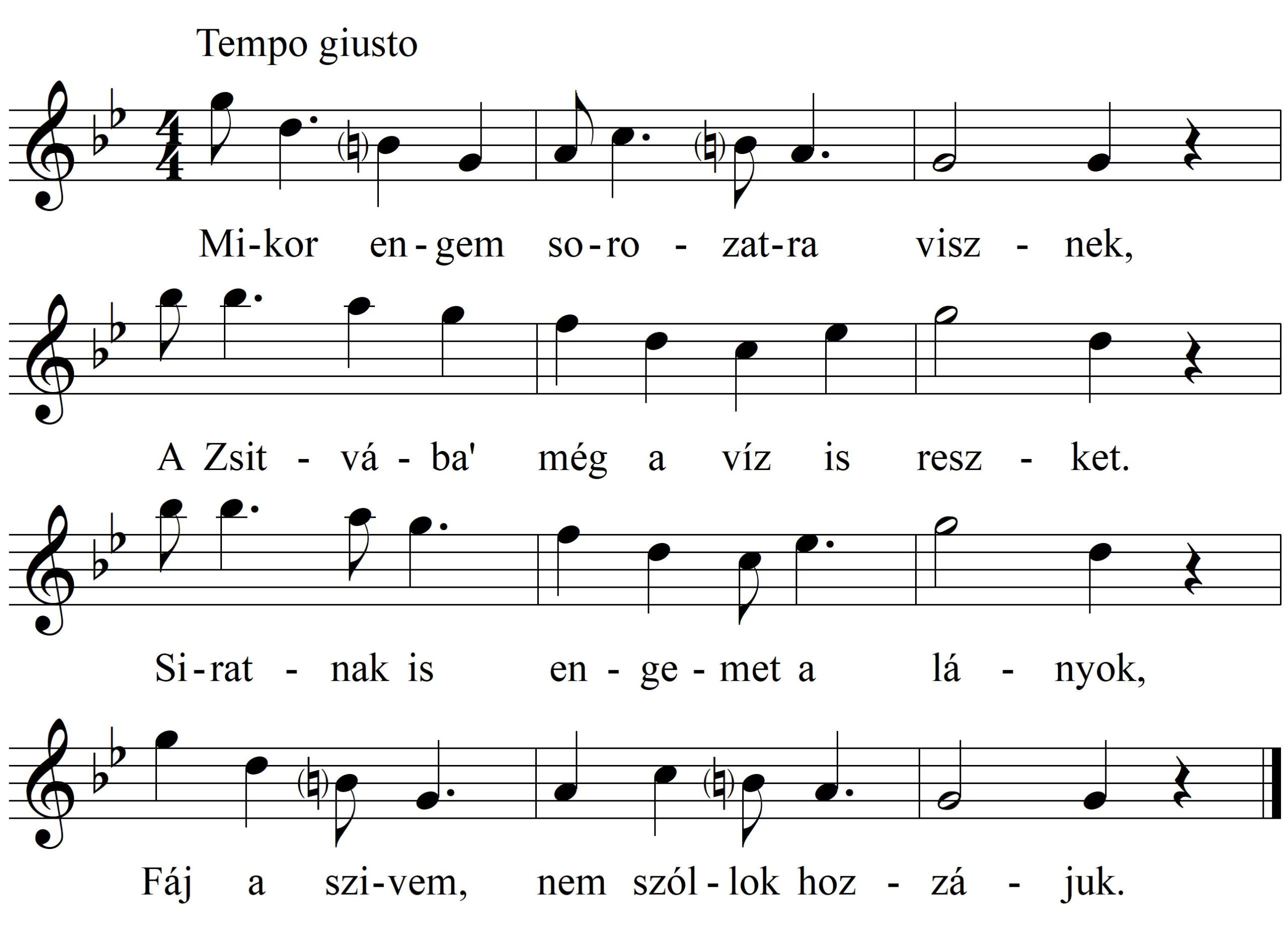 41-Mikorengem_KR_17465