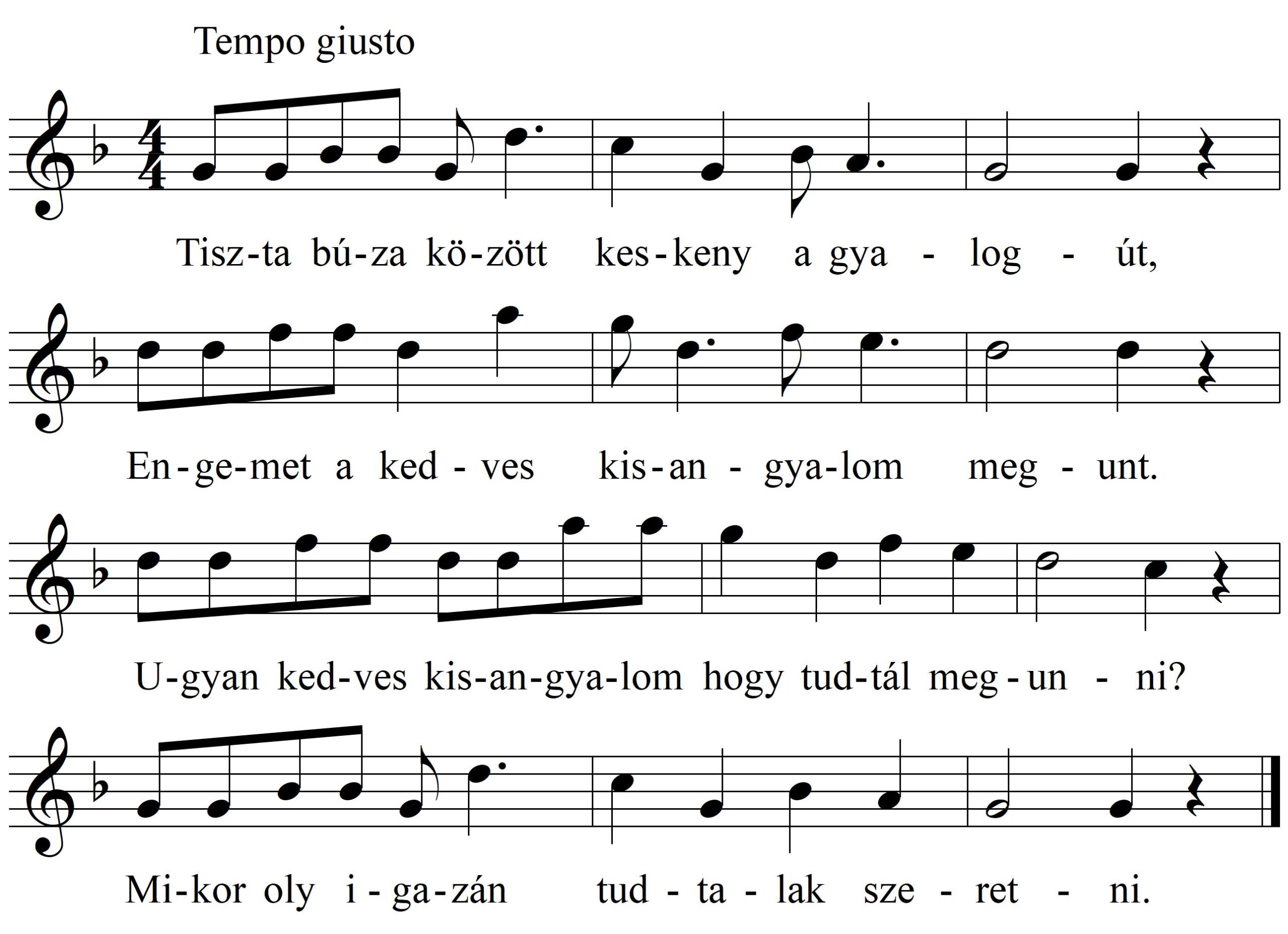 40-Tisztabuzakozott_KR_16501