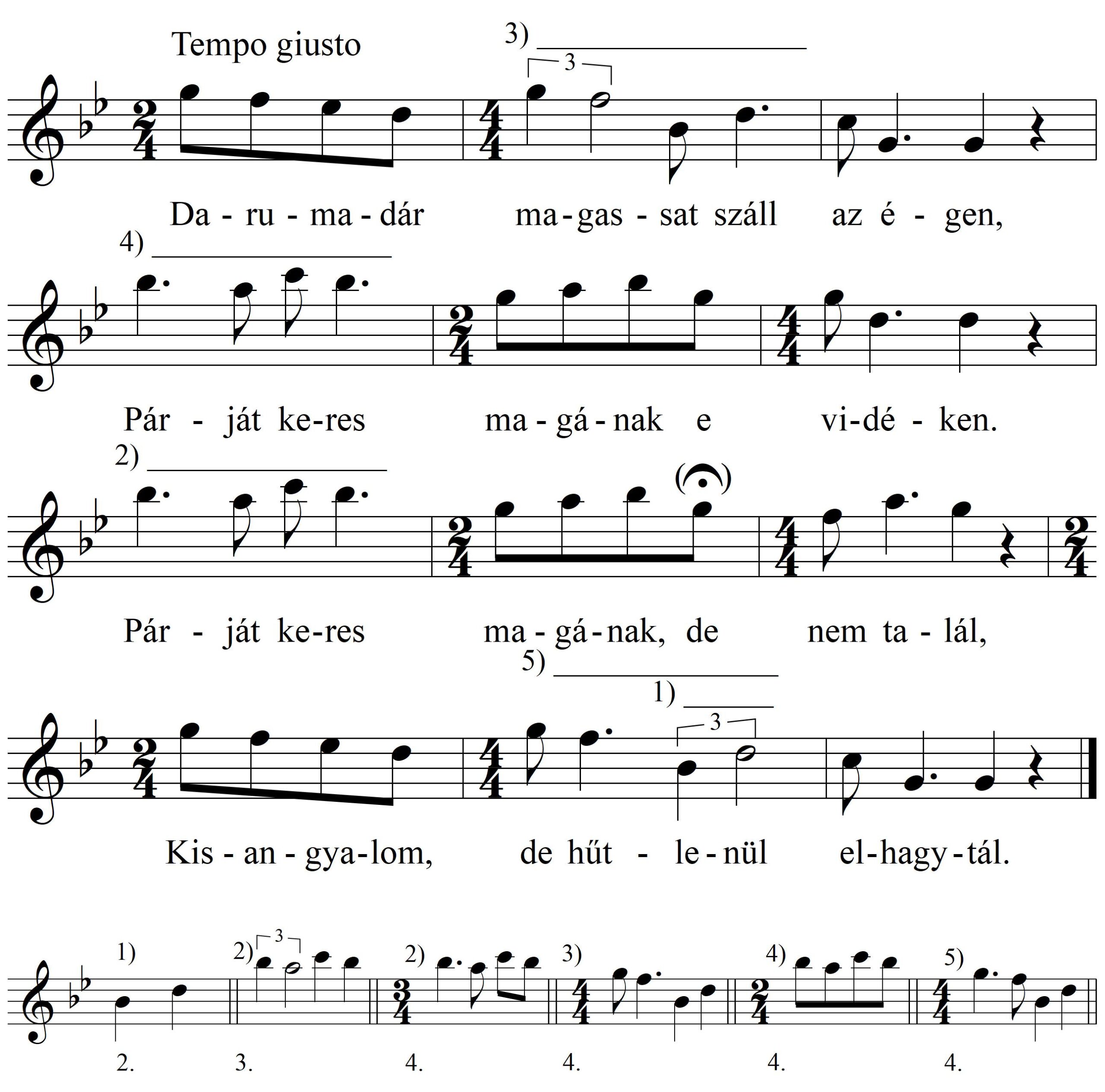 12-Darumadarmagassat_KR_19589