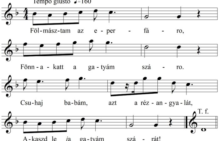 110-Folmasztamaz_KR_16403