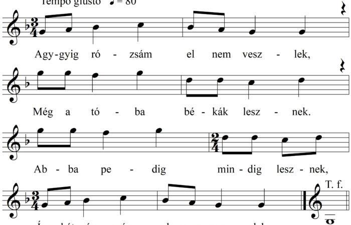 94-AggyigrozsamKR_17072