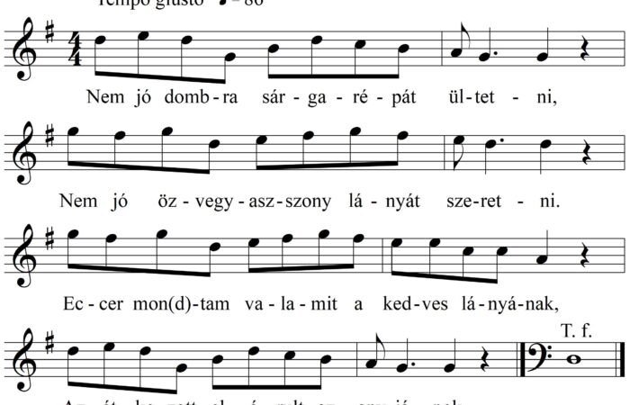 63-Nemjodombrasarga_KR_14983