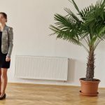 Petőfi - Tompa Országos Seregszemle - regionális forduló Ipolyszécsénykén